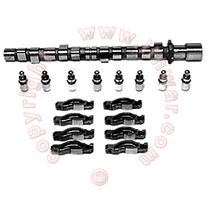 Camshaft Kit, M40: e34 - 518i